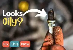 Why are My spark Plugs wet with oil